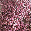 China red onion 5-7 factory supply, new season fresh onion export